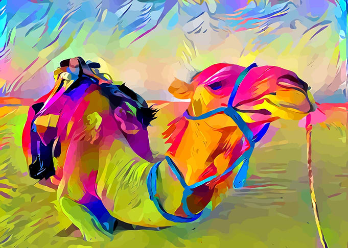 Dromedary