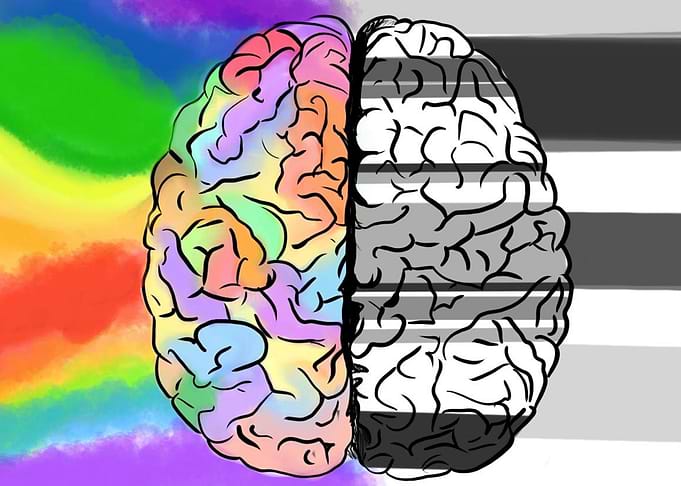 Brain Sides
