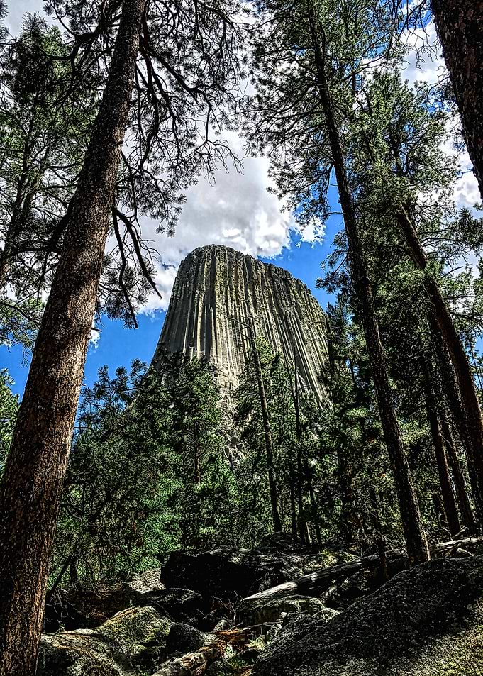 Tower in the Hills