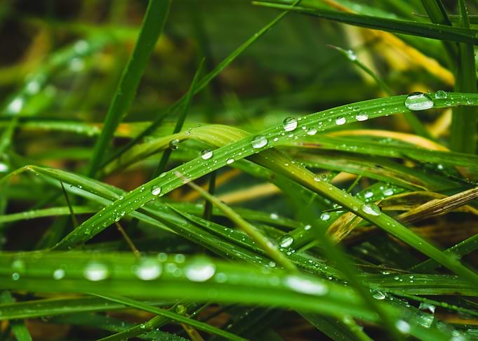 Rainy day