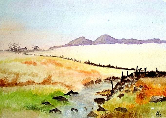 Wilderness