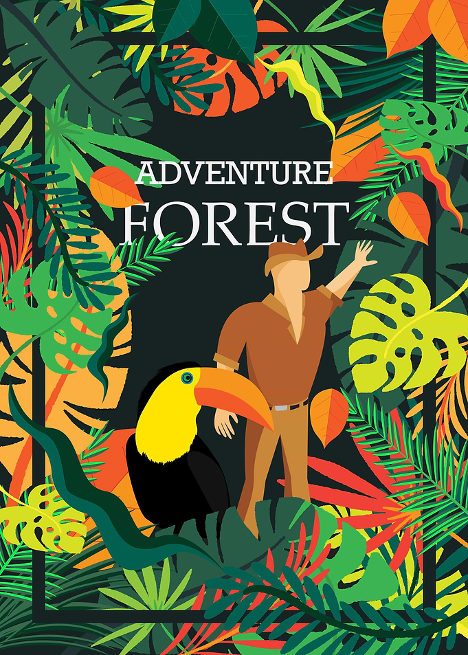 adventure on the forest