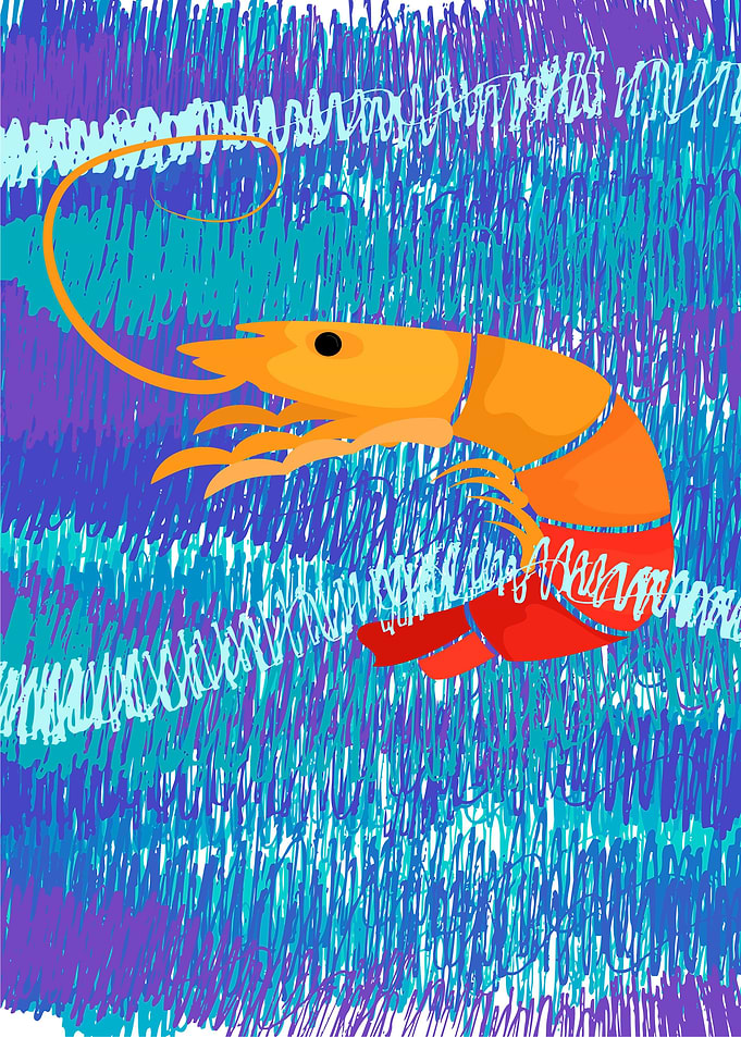 shrimp sea