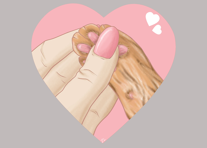 Ginger Cats Paw