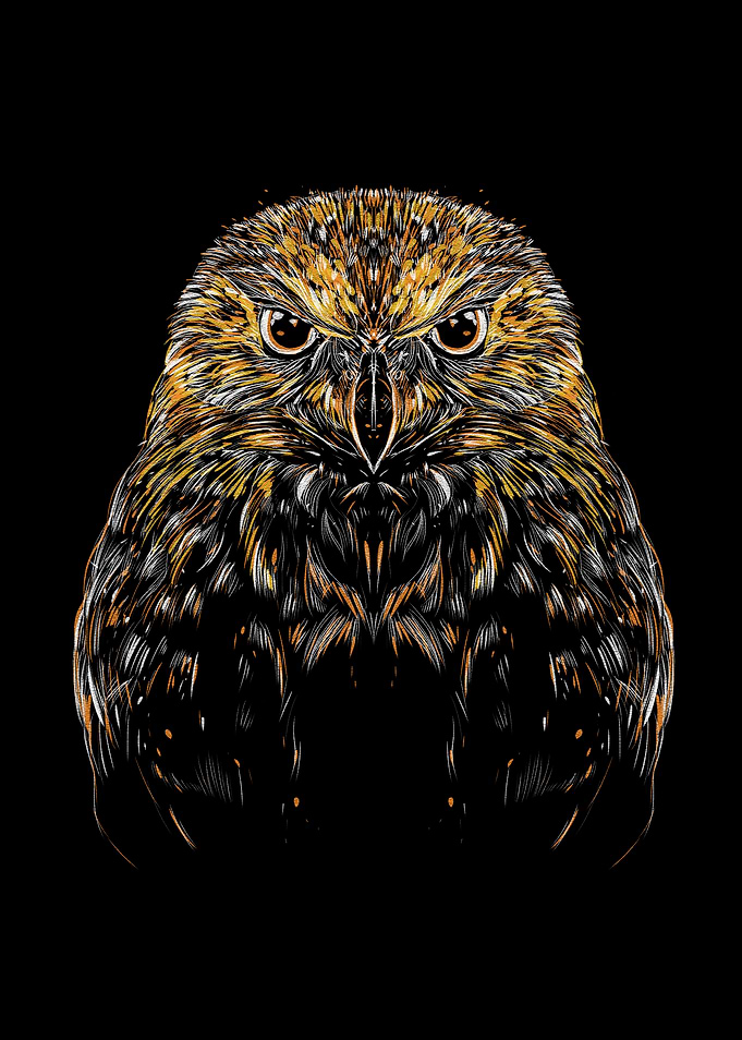 owl
