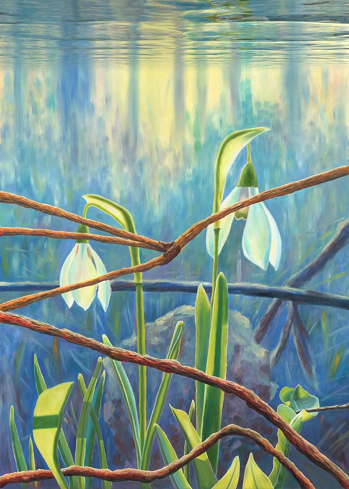 Snowdrop Flower