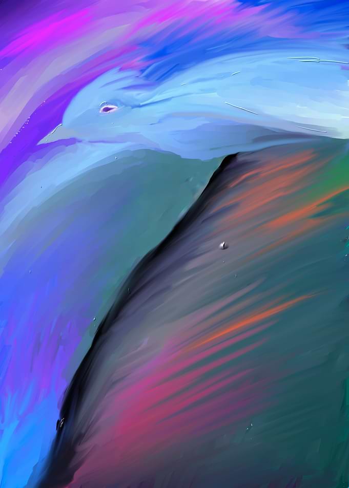 Motion