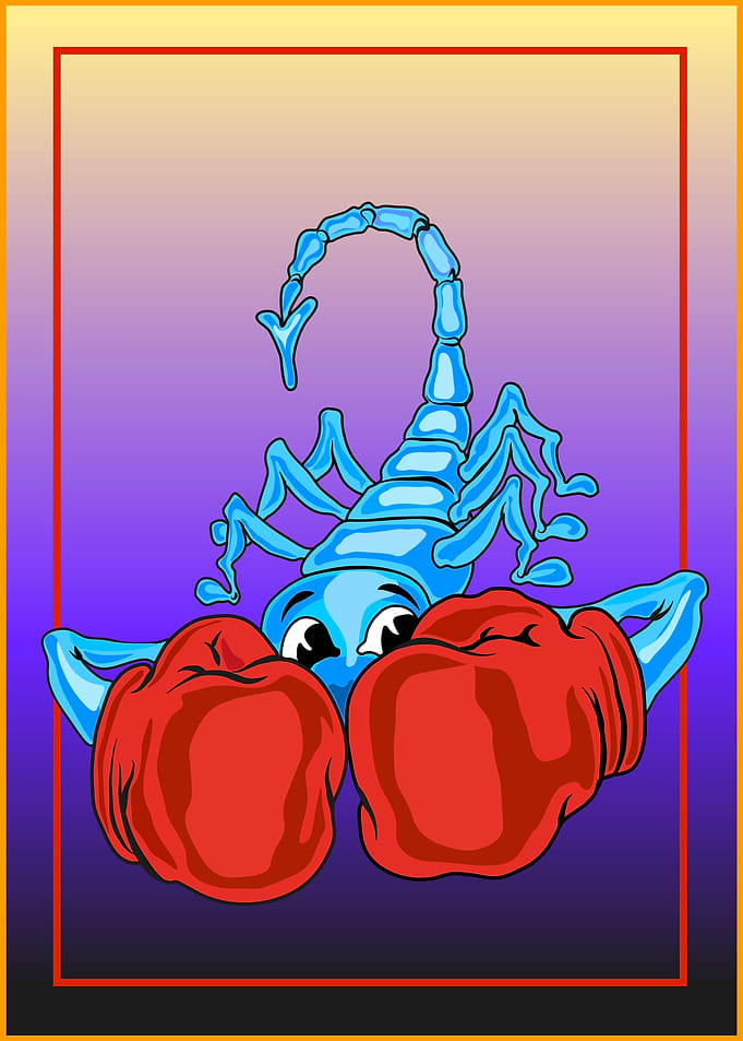 scorpion boxer