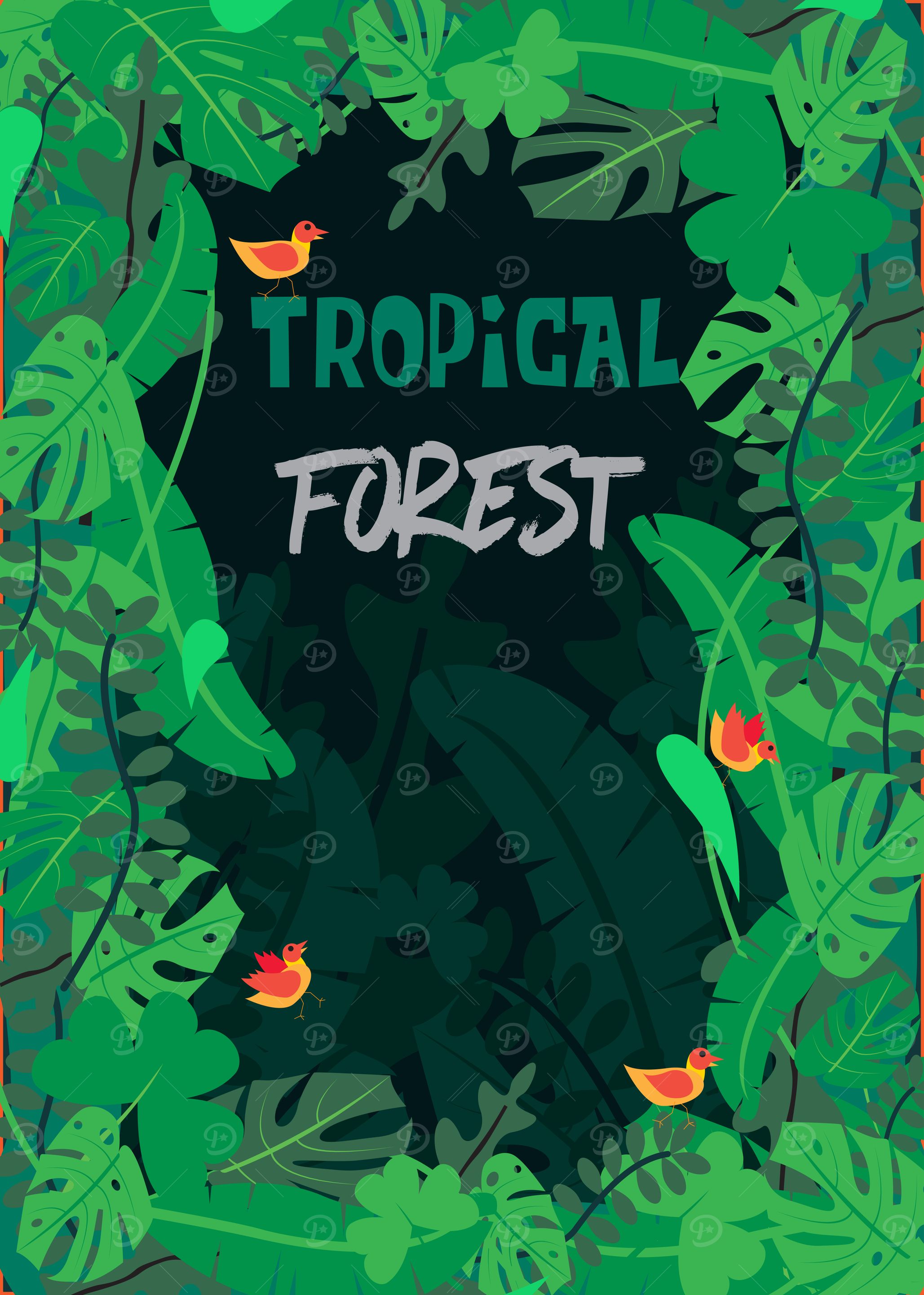 tropical forest