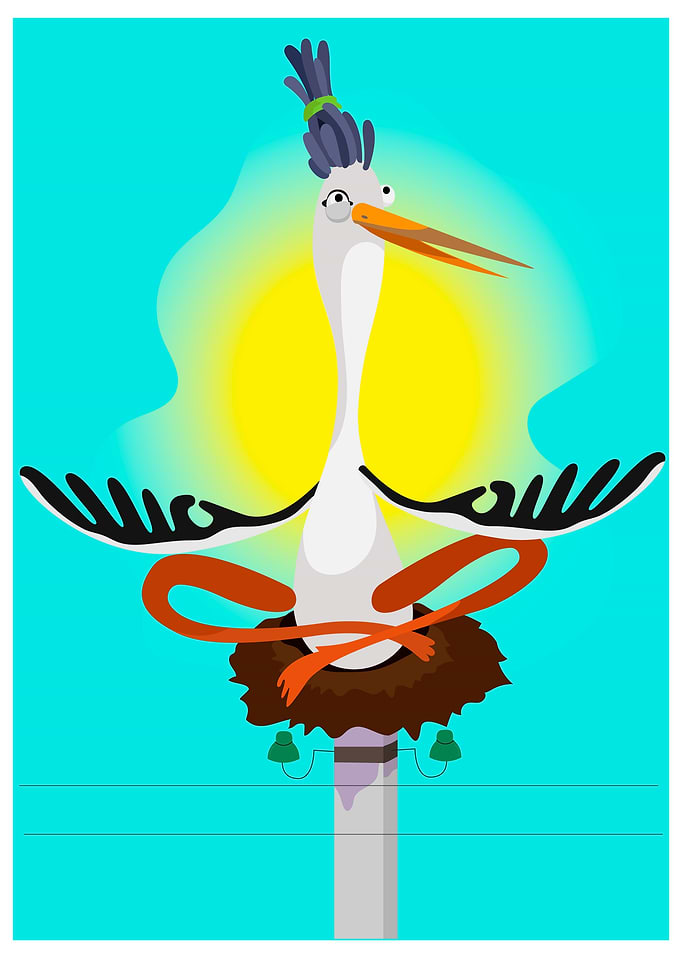 the bird catches zen