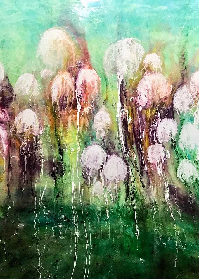 Jellyfish