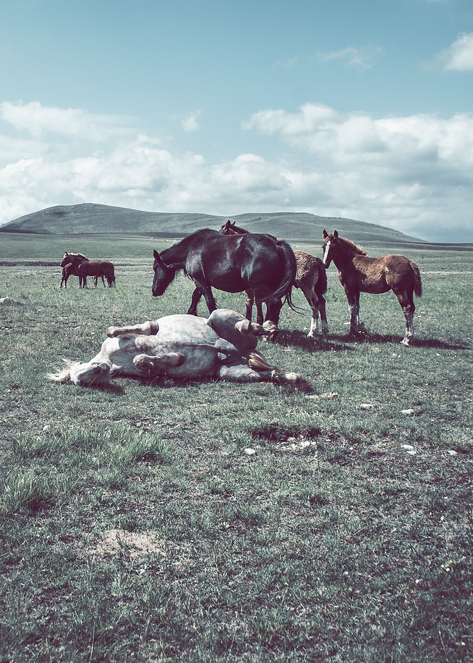 Rolling over