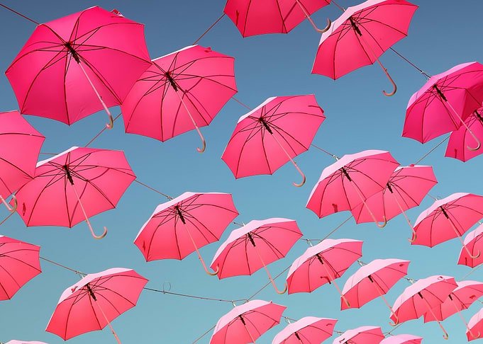Pink Umbrellas