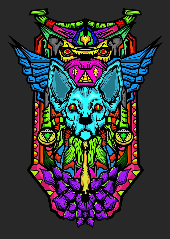 The Sacred of Sphynx Cat