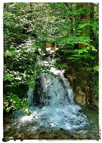 Waterfall in a forest