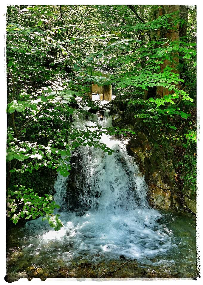 Waterfall in a forest