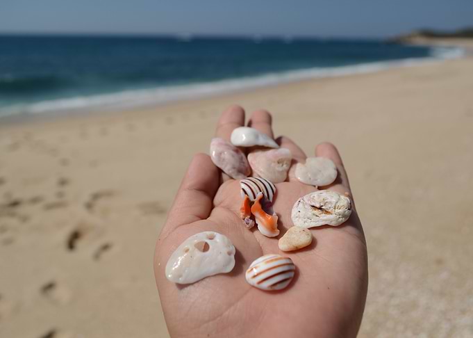 Hand treasure