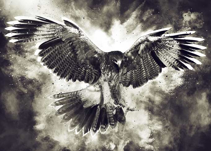 Brown Eagle