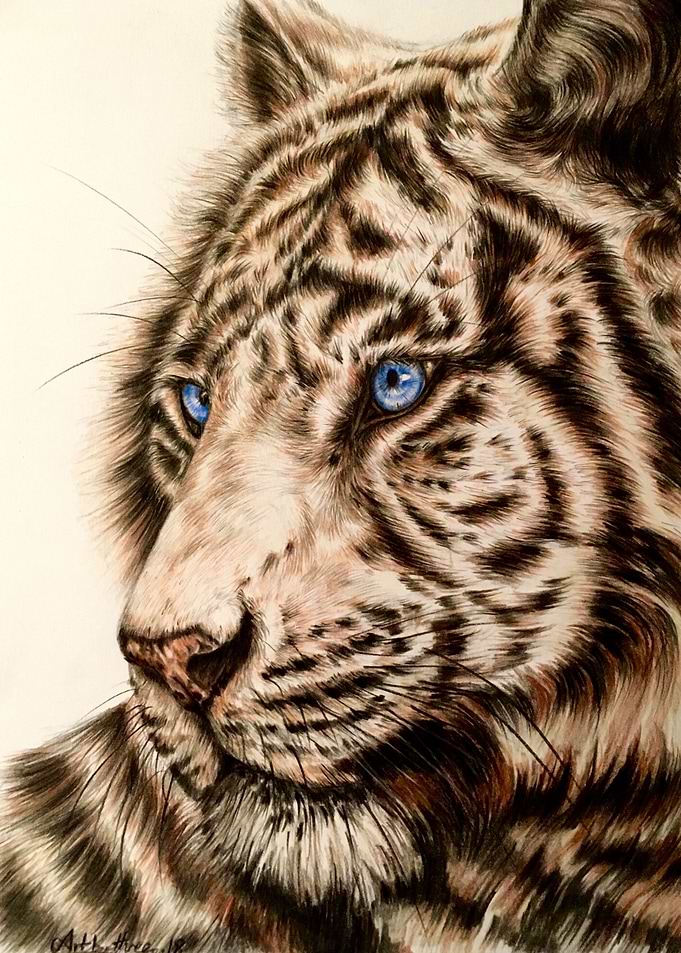 White Tiger