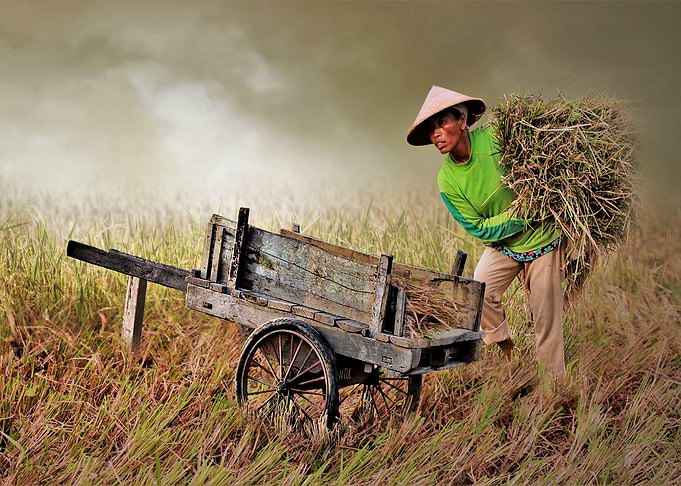 worker
