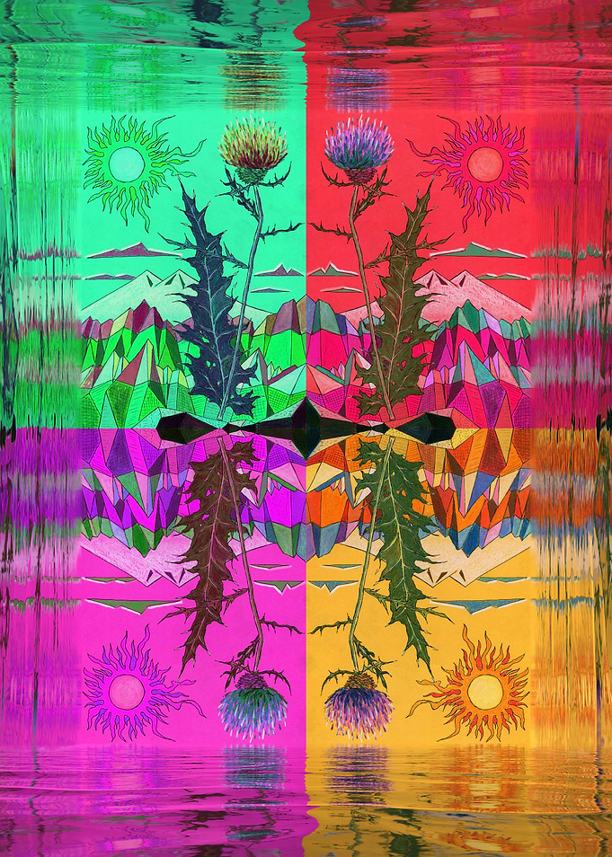 Mountain Thistle Flower