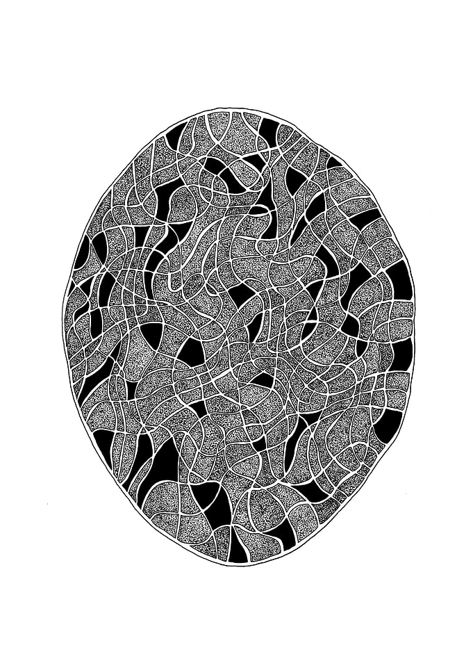 Fractured Oval