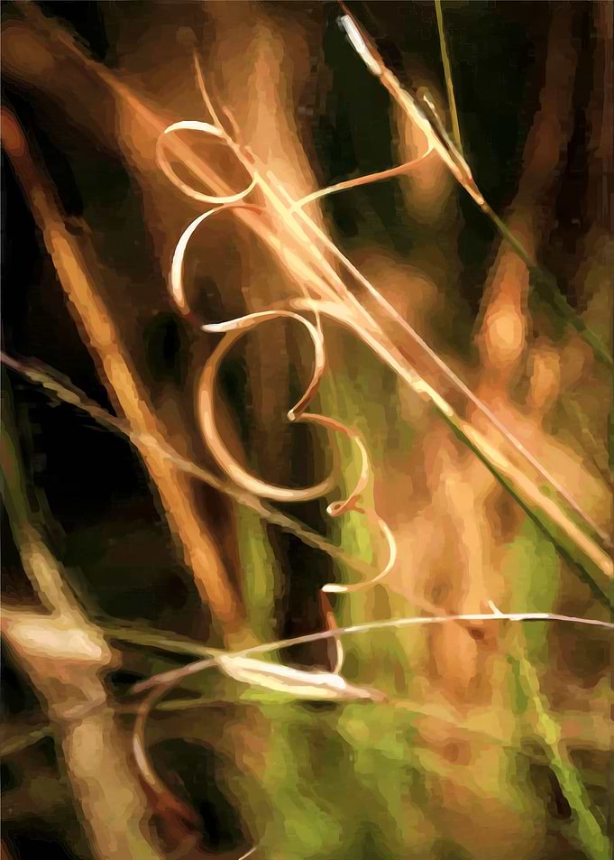 Grass Curl on the side
