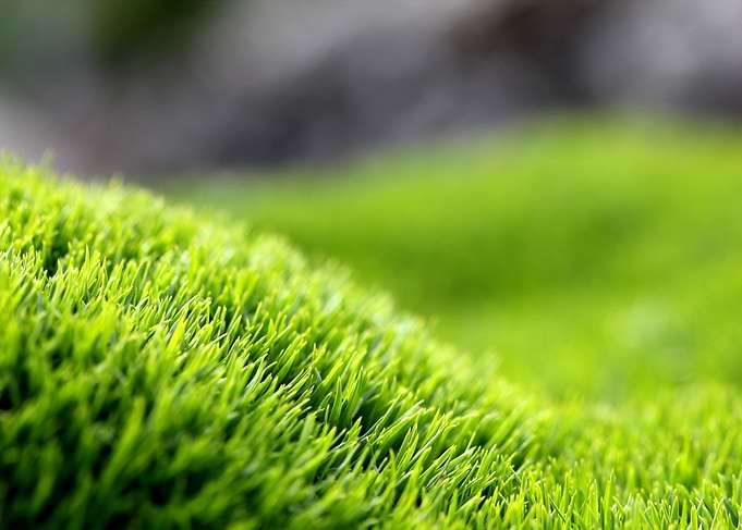Spring green