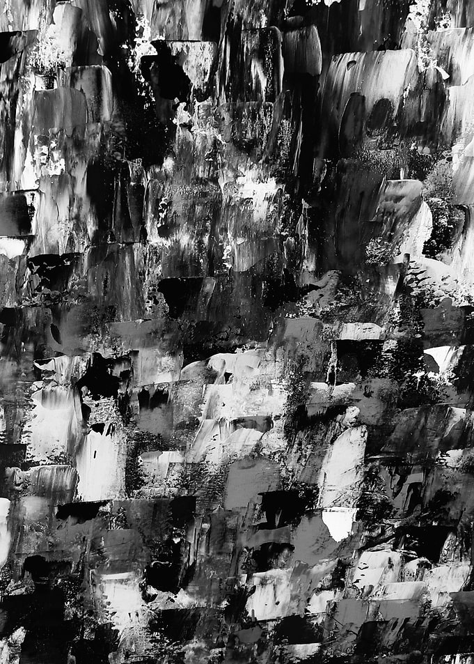 Black n White Beauty