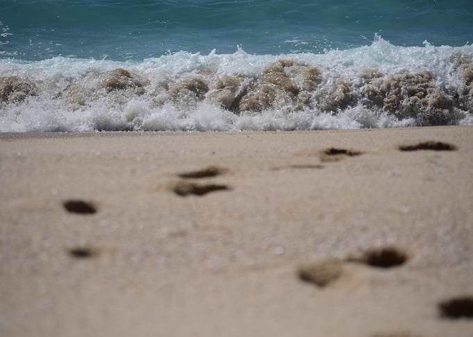 Sand prints