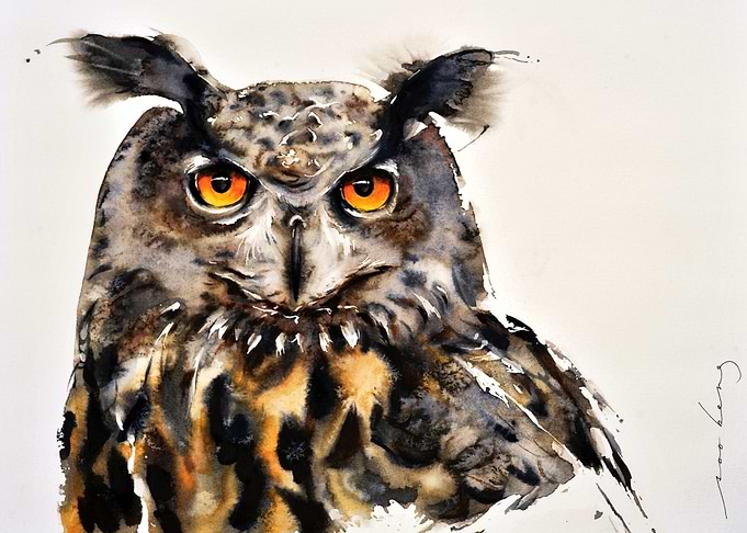 Owl Vision