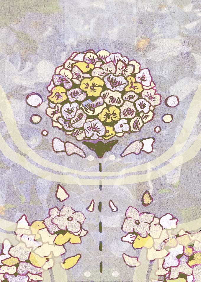 Hydrangea in Yellow