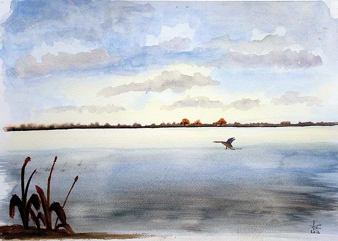 Still Waters