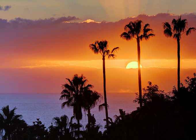 Sunset Vibes