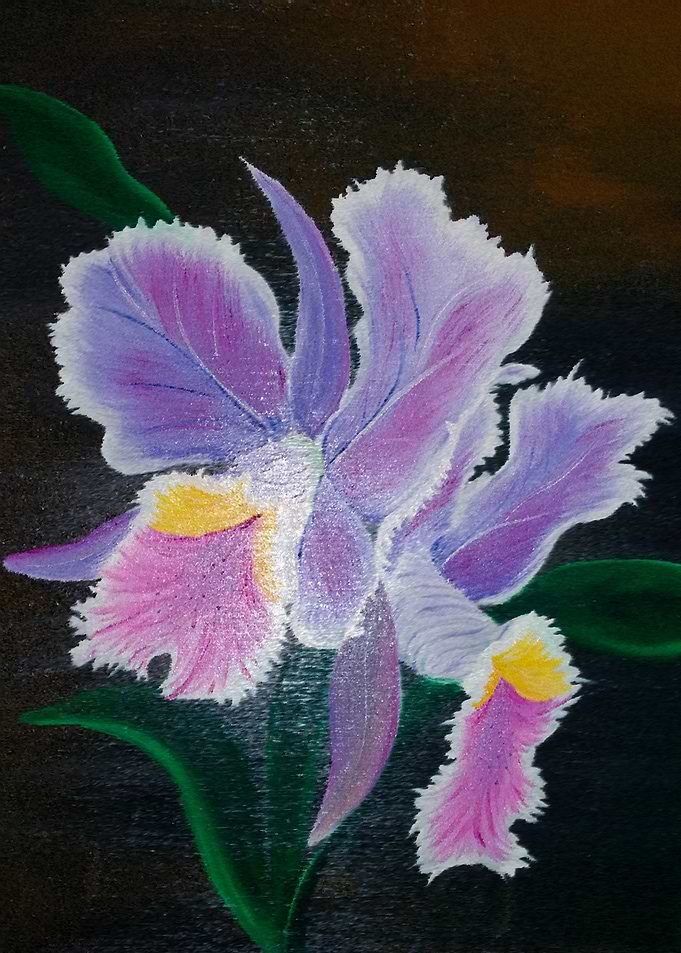 Orchid