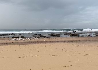 Ocean 1