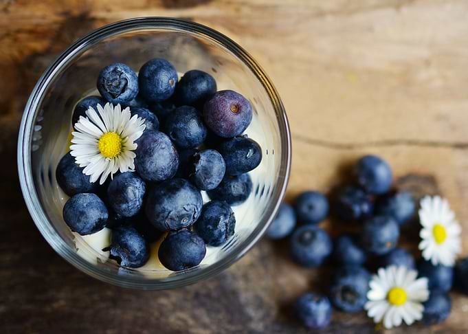 Berries and Flowers