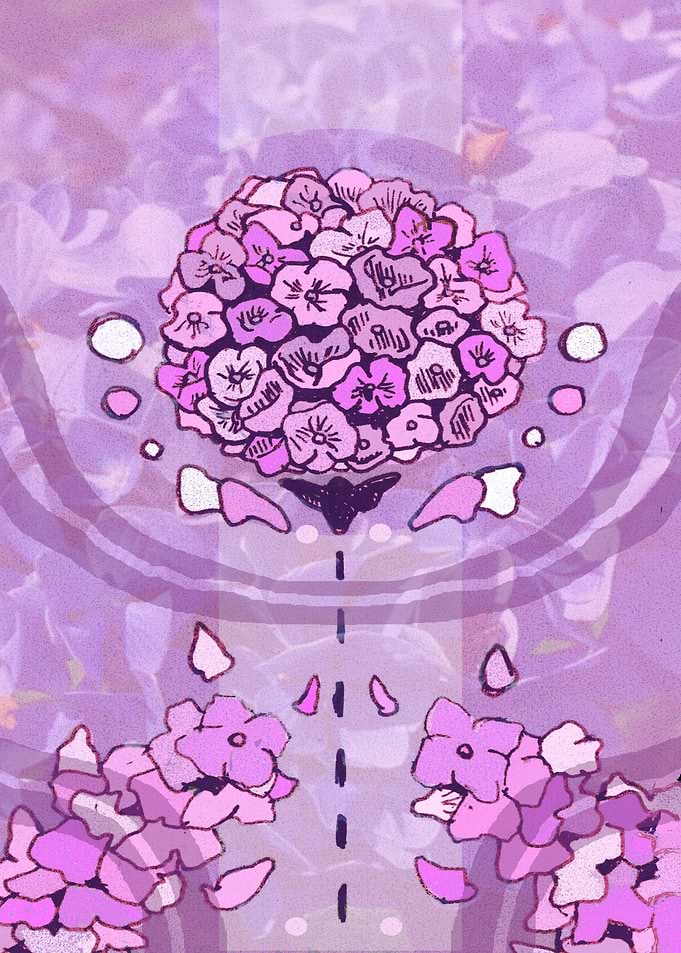 Hydrangea in Pink