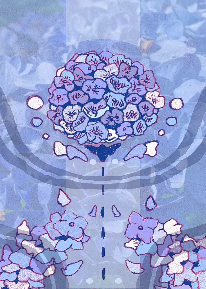 Hydrangea in Blue