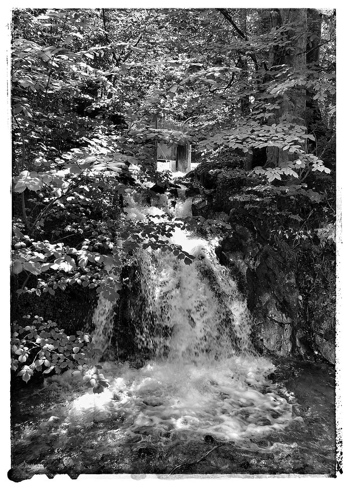 Waterfall in a forest BW