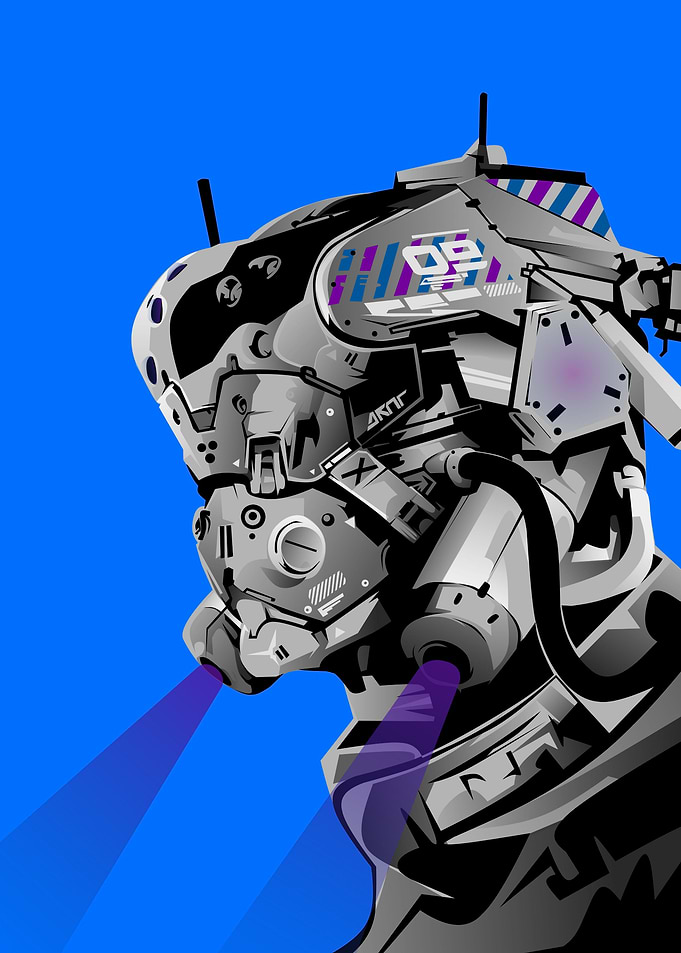 Aesthetics Robot