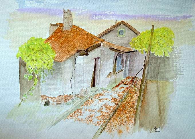 The Old House