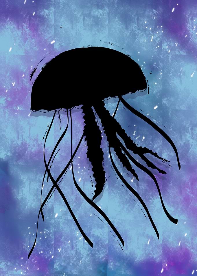 Black MEDUSA