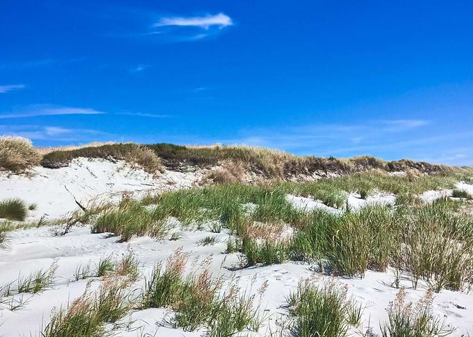 seaside landscape
