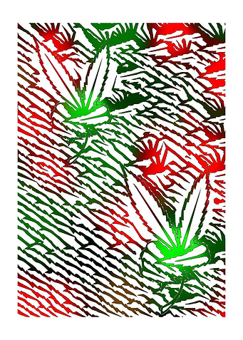 Latest drop