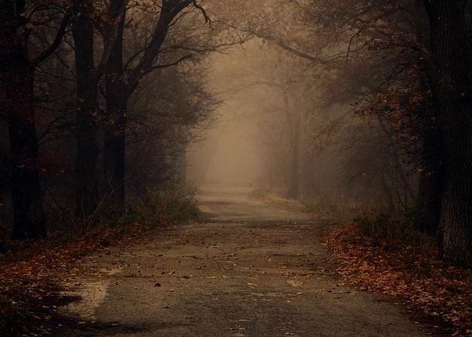 A misty way into the fall