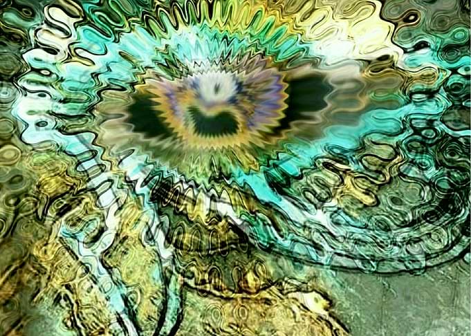 Rezzerect