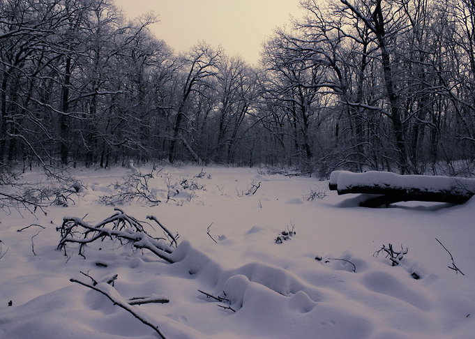 Winter magic mood