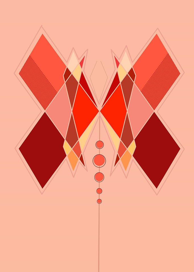 Geometric Butterfly