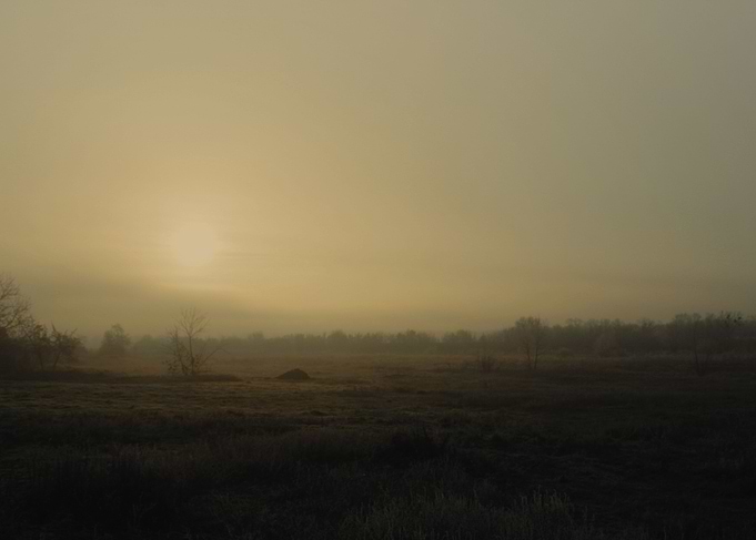 Foggy autumn morning